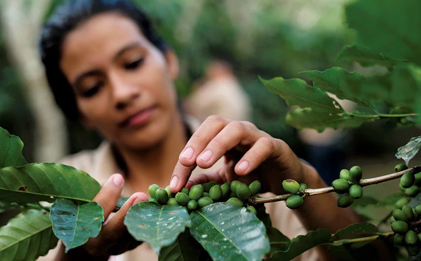 Woman with coffee representing a lighter, fresher wellness experience
